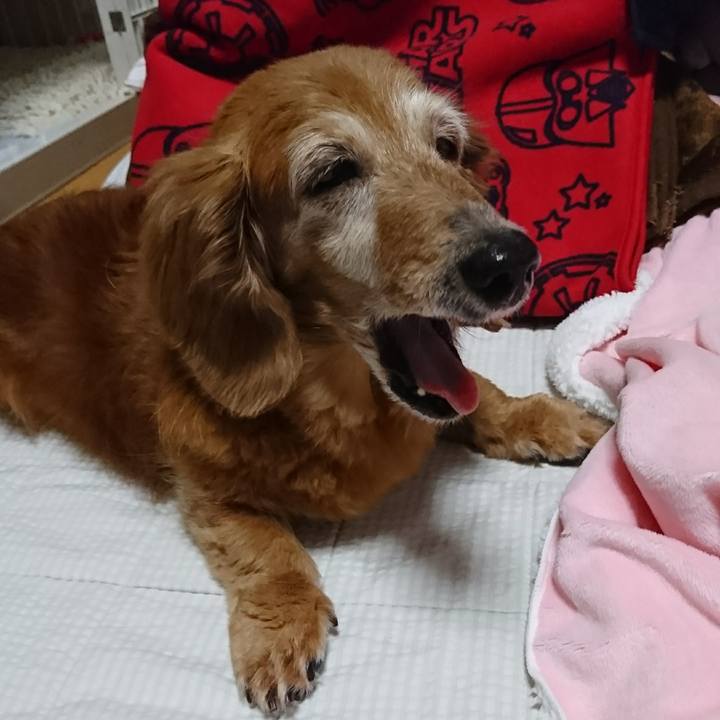 4aad0ef5 7fb3 46fc 855e 99dc864a0656