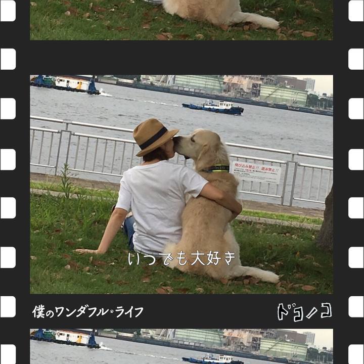 4aae0859 f4fc 4c88 b269 841d87f632dc