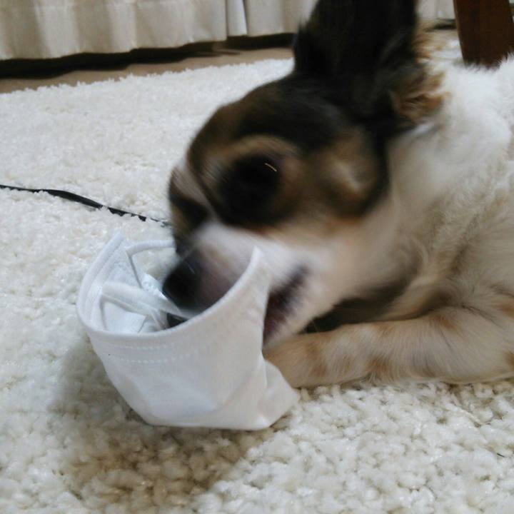 4aae630d 8961 460f aedb ebd74887b018