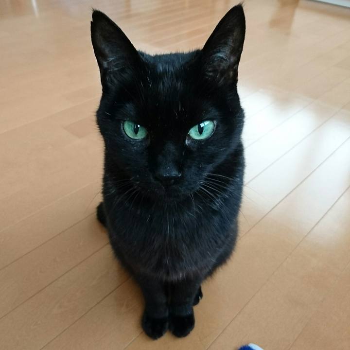 4aaec7b6 ec36 4b9b 8101 1703470ba6af