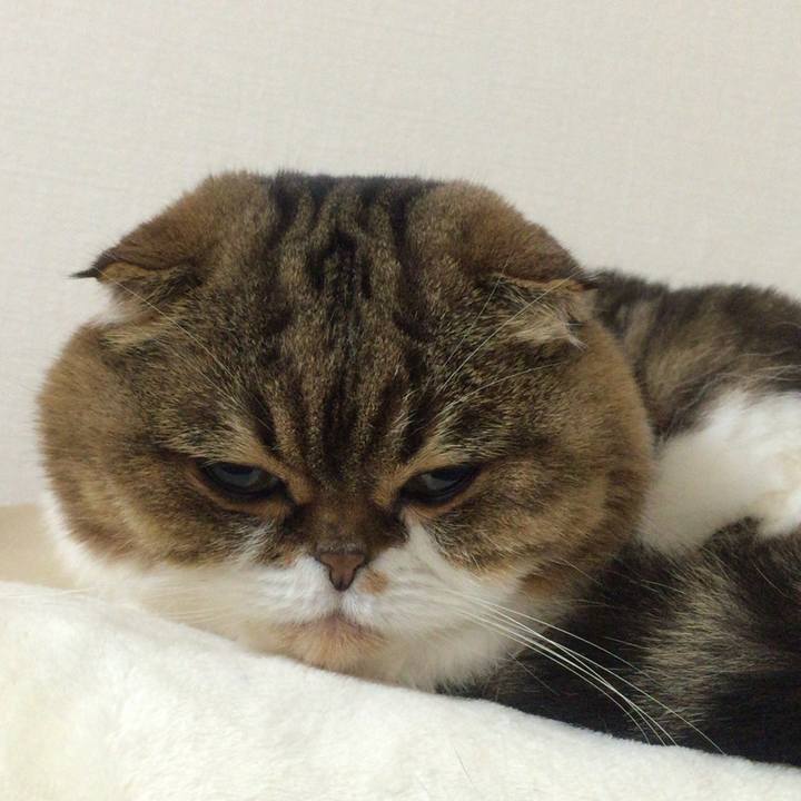 4aaf1ade dd5f 465f a25f 227872727a42