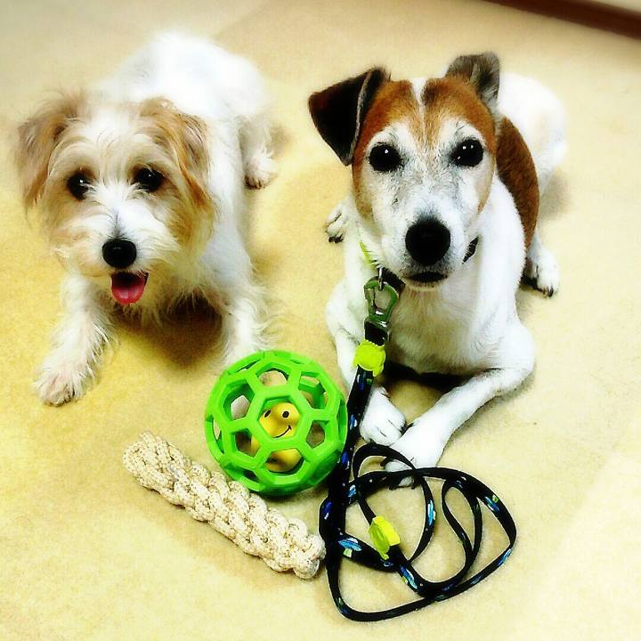 4aaffe33 dfb7 4461 9be7 566d6073f747