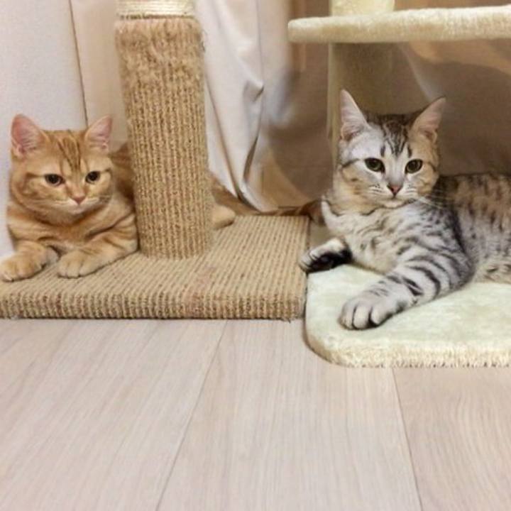 4ab00933 8120 491f 990d bd4553a99da9