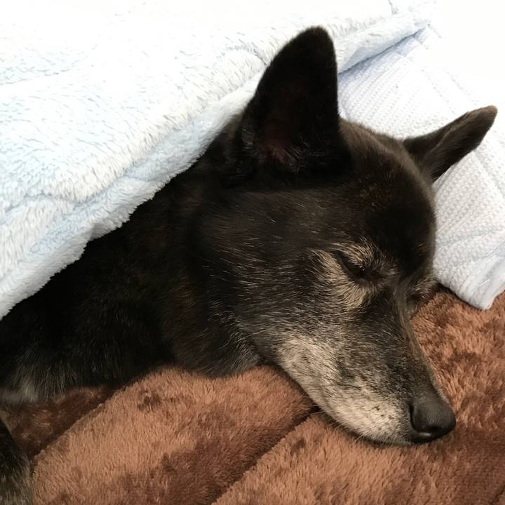 4ab0242b 80d8 4aa0 94d6 b15c76b1f495