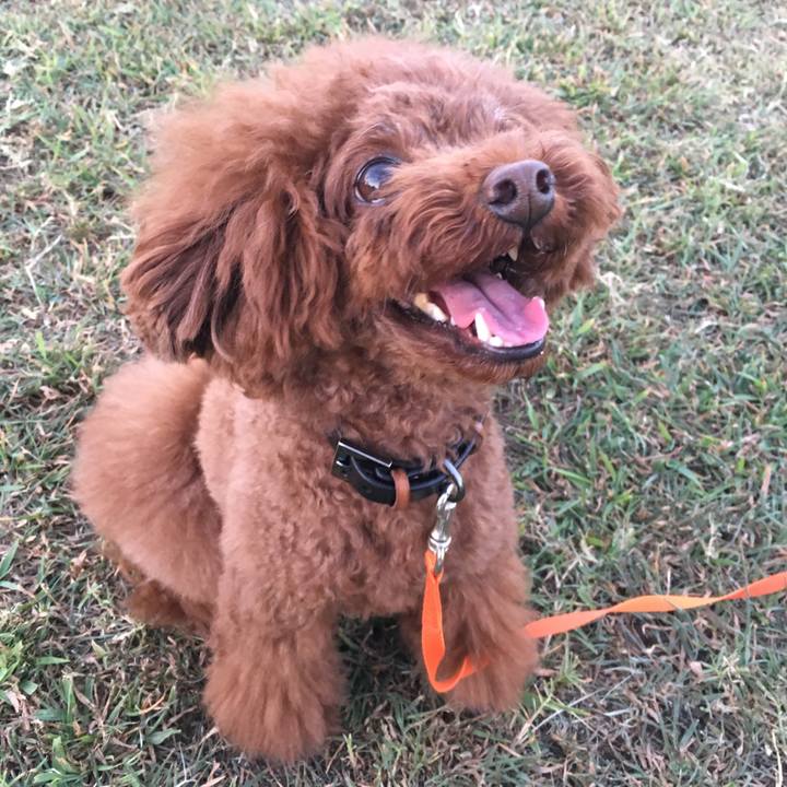 4ab0f131 55a3 4e64 bc66 a1b7043e36b3