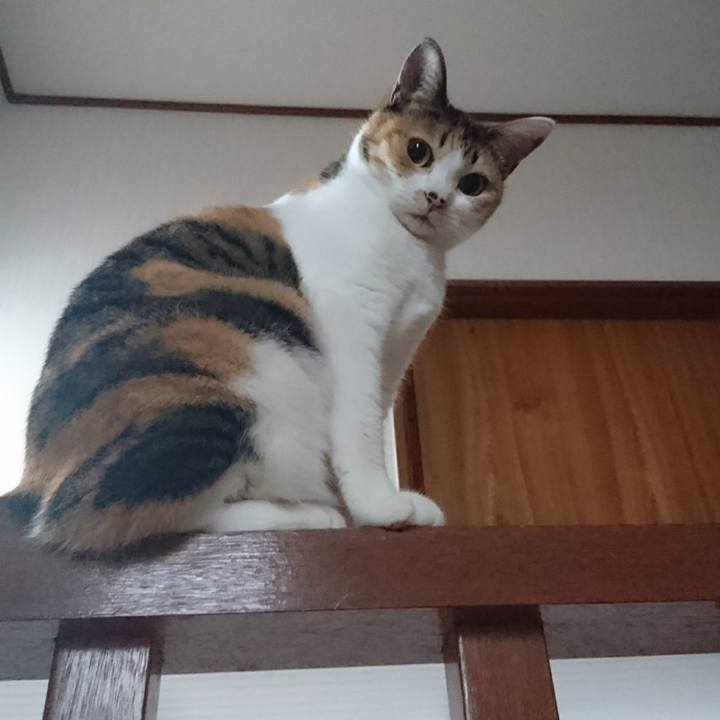 4ab17e00 035c 412a 8b9a 2b6dd8a3943e