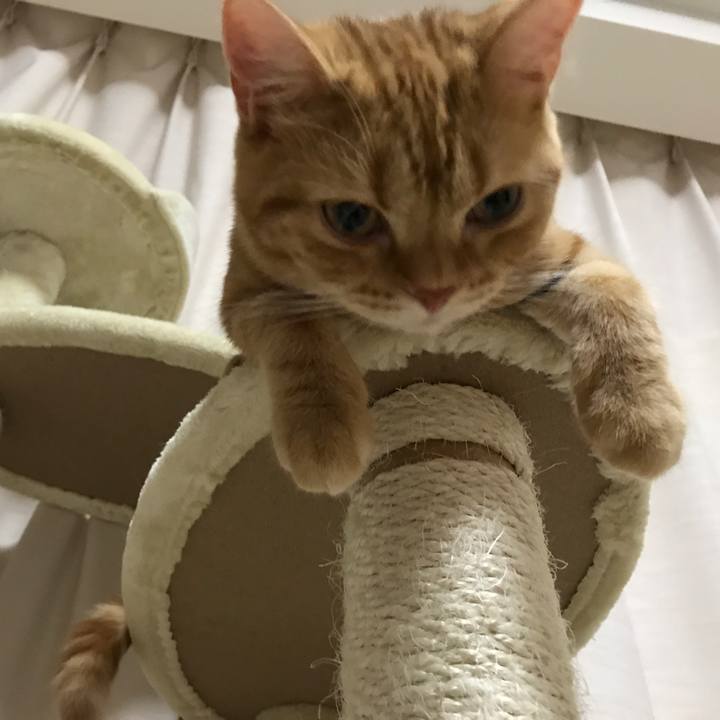 4ab23f00 fbb4 46c4 97bb 45e27d0b7928