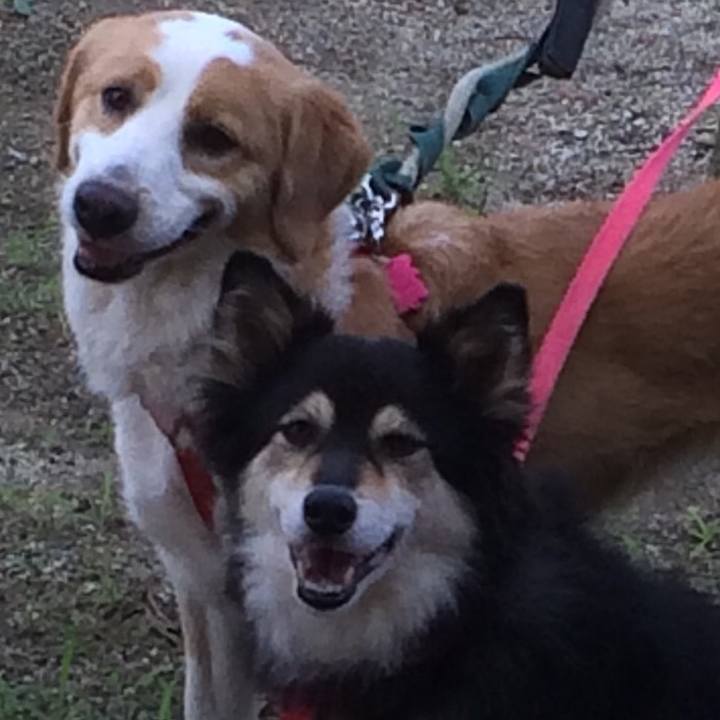 4ab244d3 73db 4cef 8f58 1aaf13c6f214