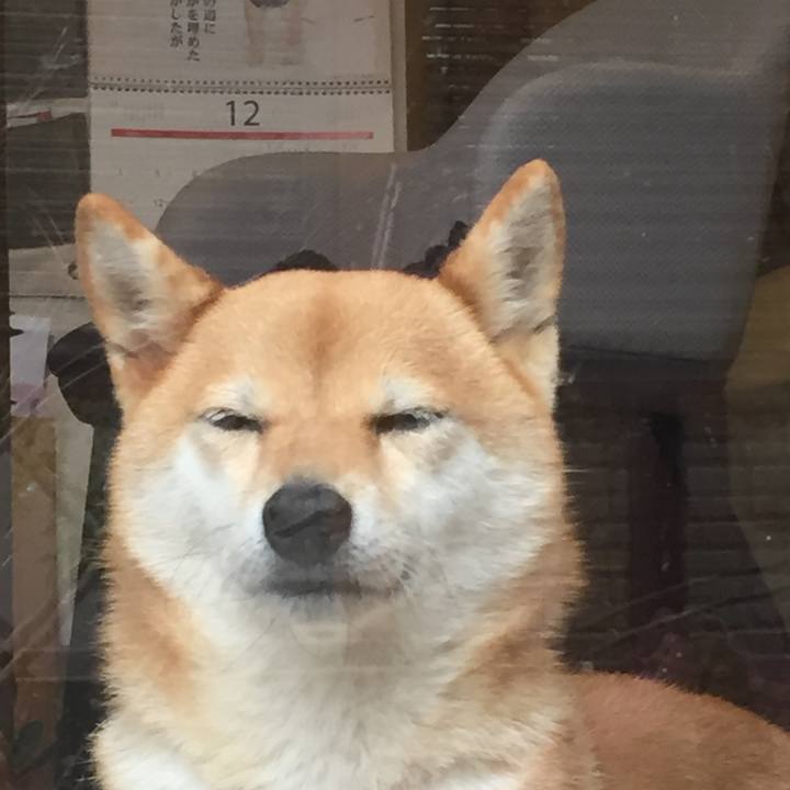 4ab2804c 7e9e 4cfd b289 86df73dddabc