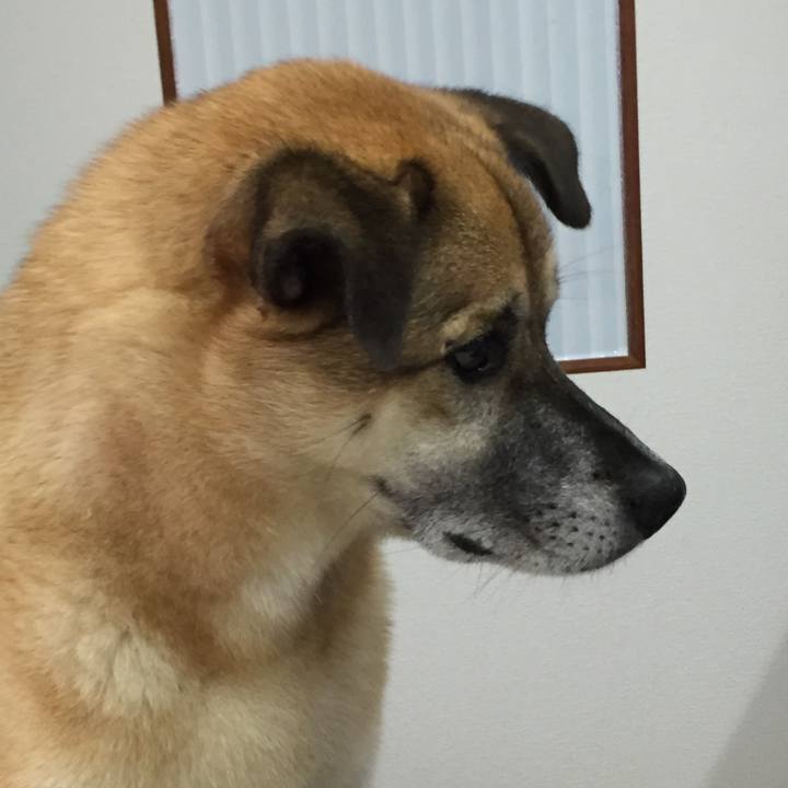 4ab2b801 d8a4 455f 80c4 4037c379bf08