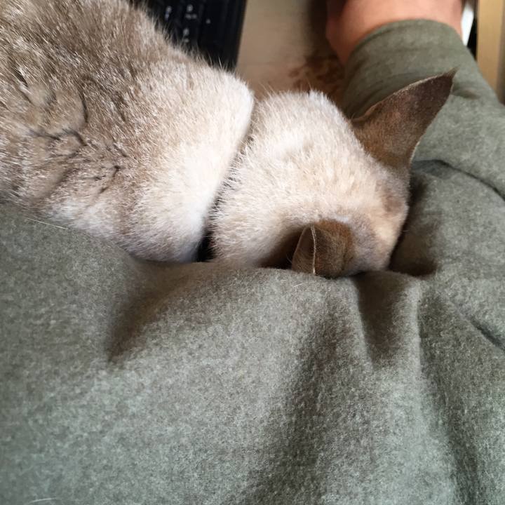 4ab3187e aa5e 4f70 b8e4 cc7a5545faaf