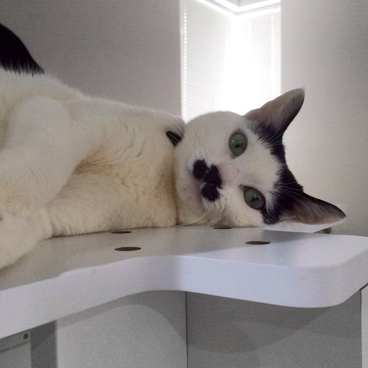 4ab31f12 80cb 452a 8e48 21929a03d3da