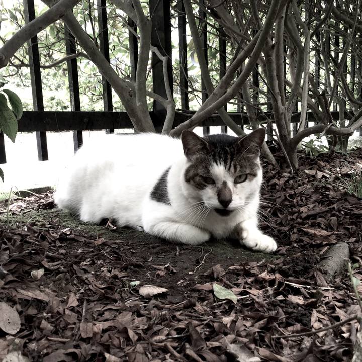 4ab345c8 b5af 4395 8f1a afcebf1e0f9e