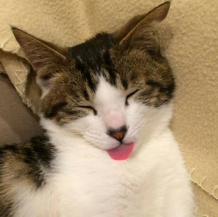 4ab34666 67de 44ff 9cb3 b8f8371adfe9