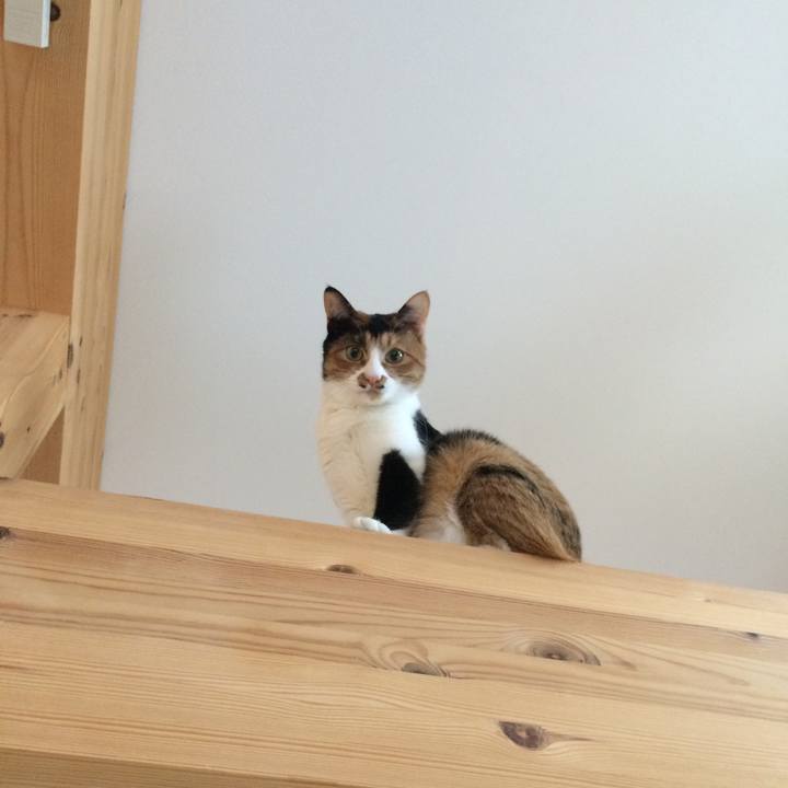 4ab3bd7f d039 42e2 b874 9bf4022508ef