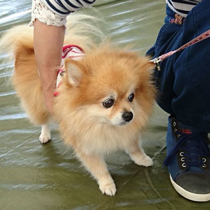 4ab3e3a0 181a 4f2e 817a 465464d50fd4