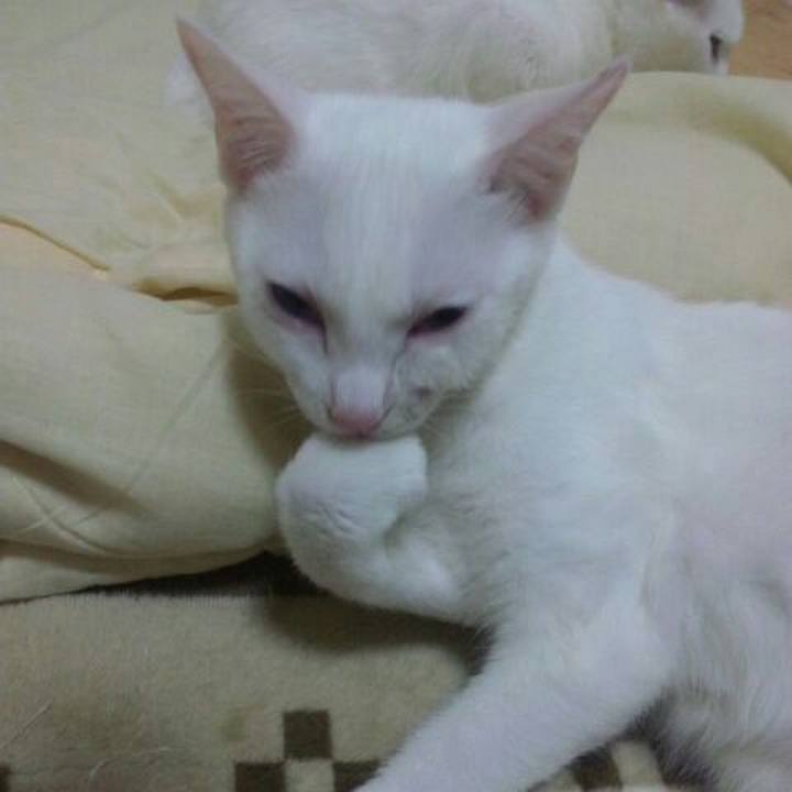 4ab4445b e022 451a b0d9 15ea75ea539c