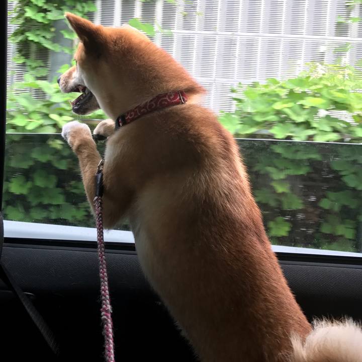 4ab44836 5b9b 4120 bbea ad101258480a