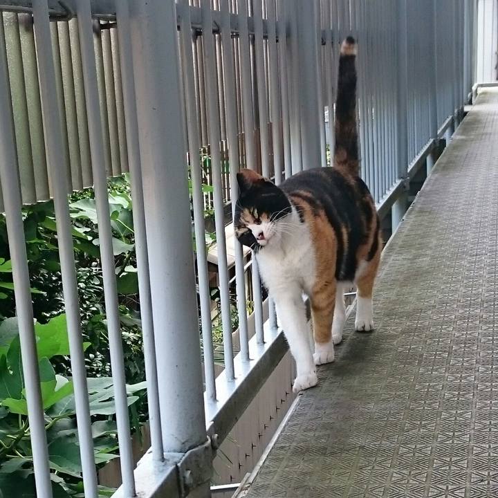 4ab45355 09df 41ee 844a fb5886857d41