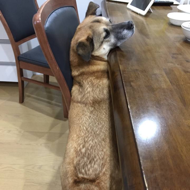 4ab52186 16eb 4f34 b558 ca858539eecb