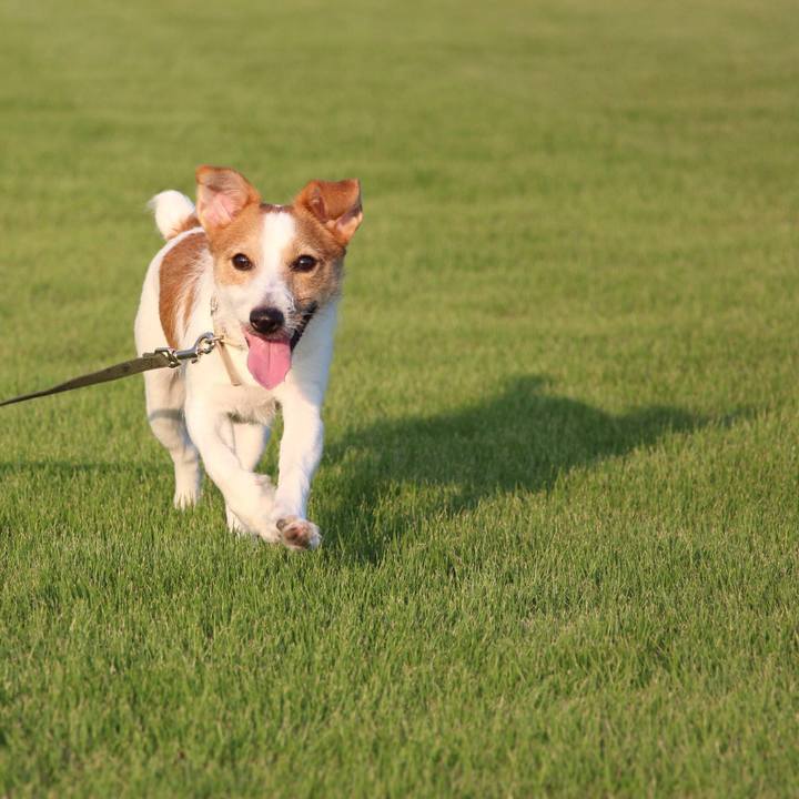 4ab5e7f3 1f0b 4209 8e36 6c739e38d4d5