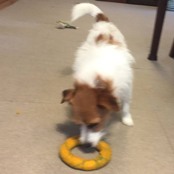 4ab5fc5a d055 44dc 820e ea03749064b8