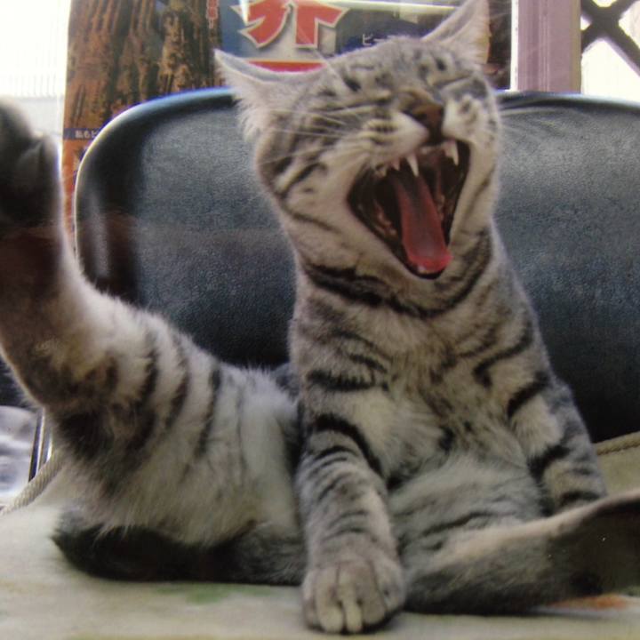 4ab77bb1 c5f6 4be4 917b 67d9ee877c29