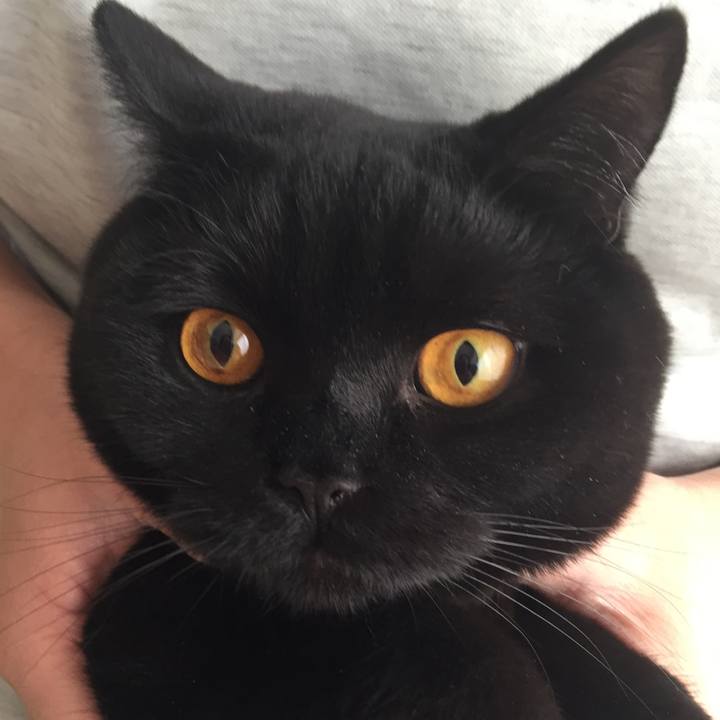 4ab8aac9 446b 4335 9b57 611efb3734b4