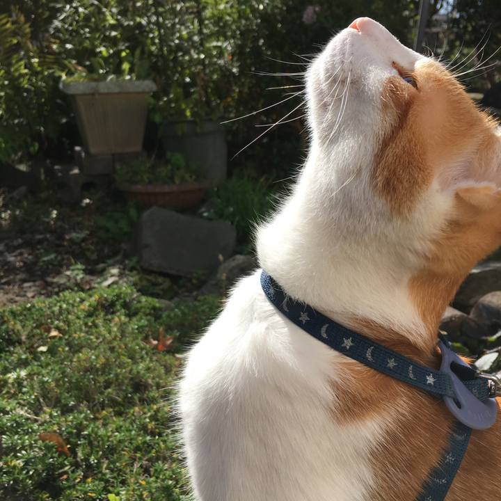 4ab98344 a83b 41c0 a192 f8b0d7e90faf