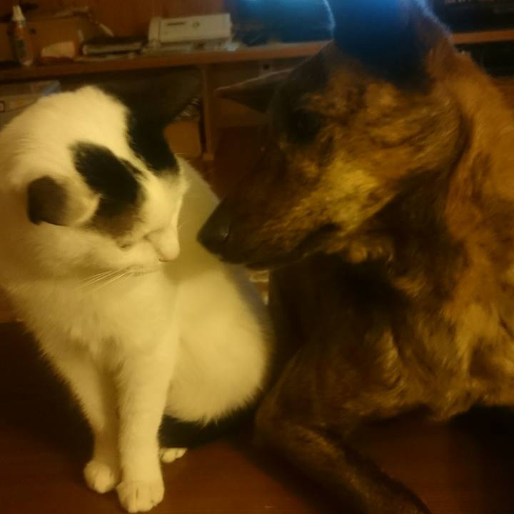 4abadd51 21b3 4579 8a63 2a7794f70575