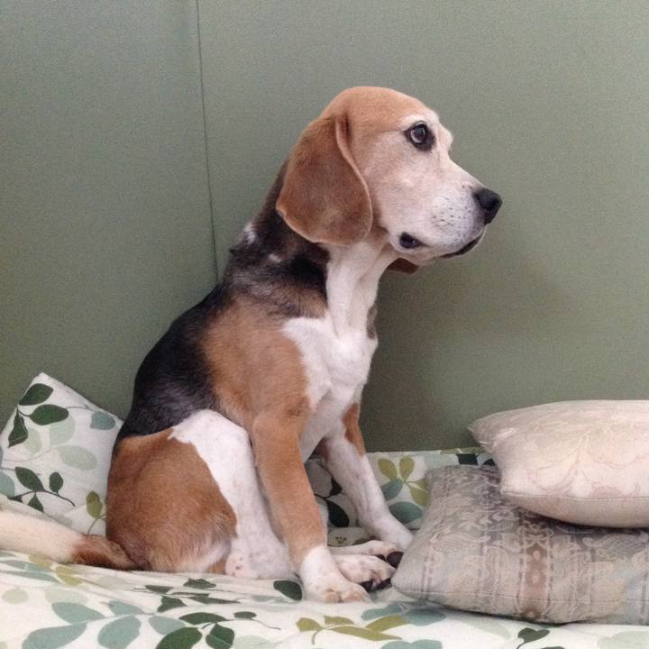 4abb416c bb00 4998 bd45 9c2fc506ab59