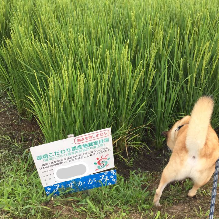 4abbc62c f378 40a2 84d5 2b643b67f5d5