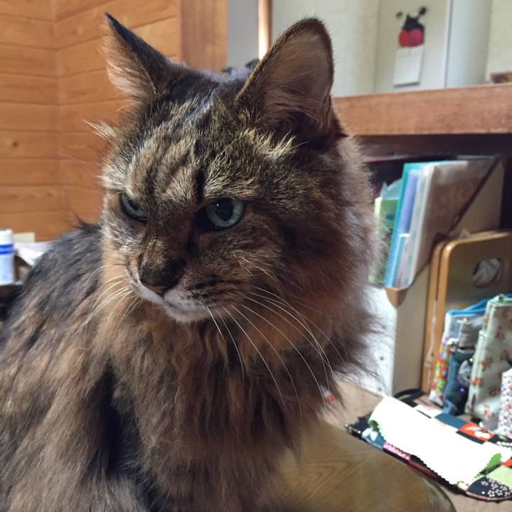 4abc514a 4751 4589 b9b1 fa99c6674107