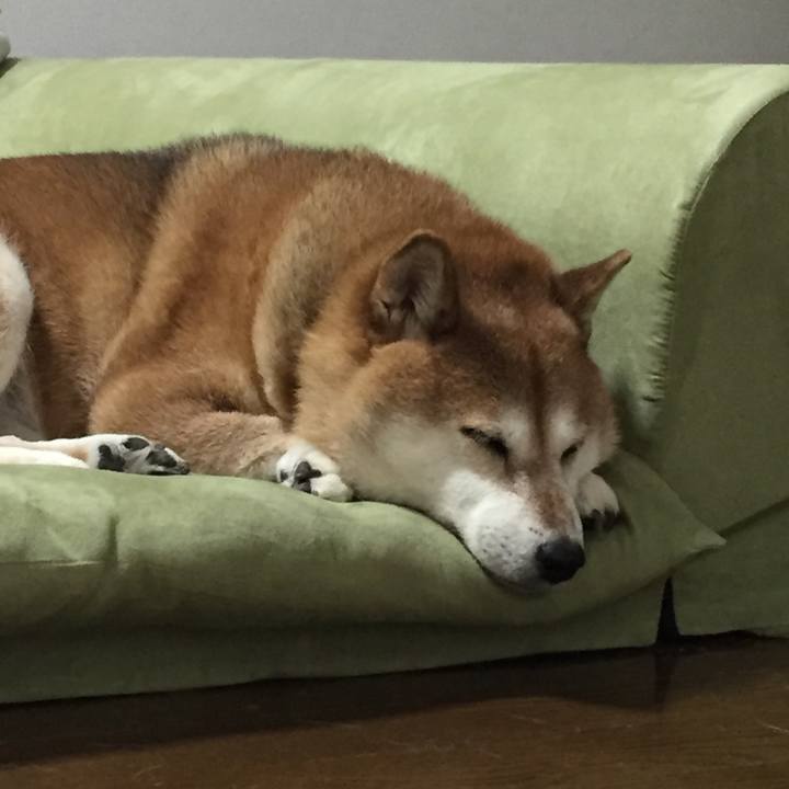 4abcab6e 6203 4adb 9547 f8d2c078ab8d