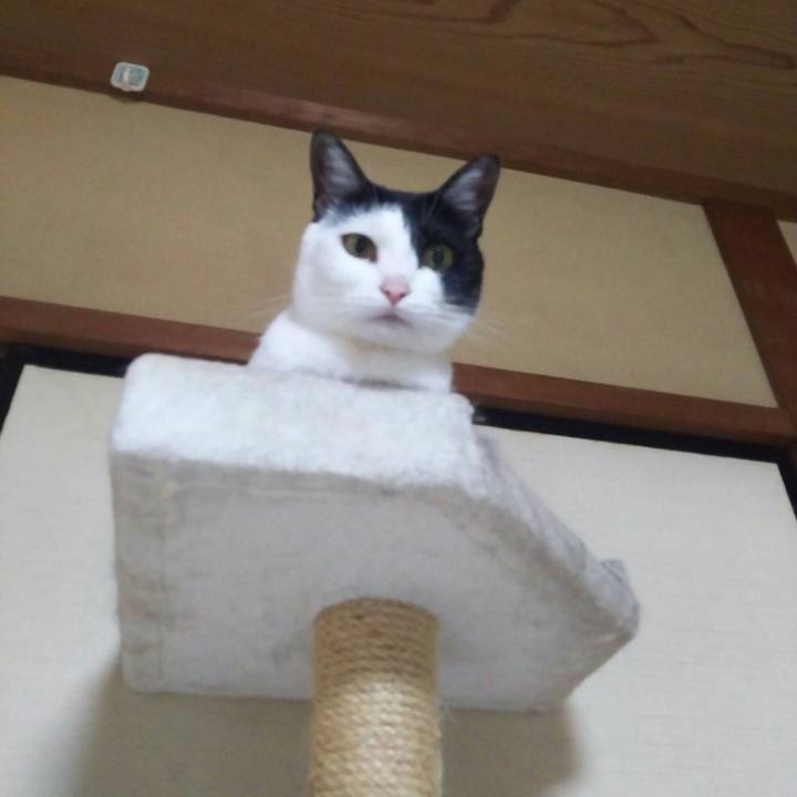 4abeac4f dd1a 4830 add4 2c0809e62689