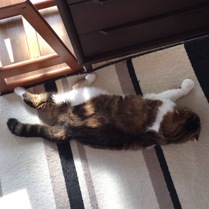 4abebc40 2eba 4b8d 9d5d bf8d1dd710b6