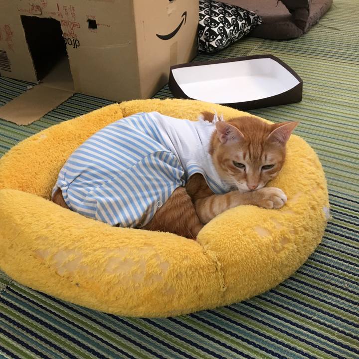 4abeeff9 1eab 4833 ae20 65cb50a78229