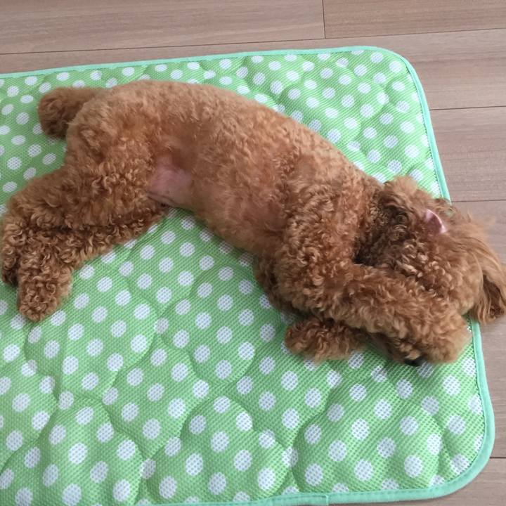 4abf314f 1de8 4f3c 8bcc a05957ac9013