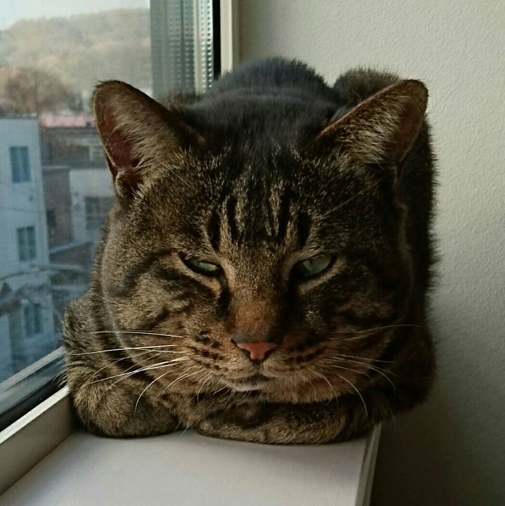 4abf4e7b 6bfc 48f5 86ef 3f4a10975c46