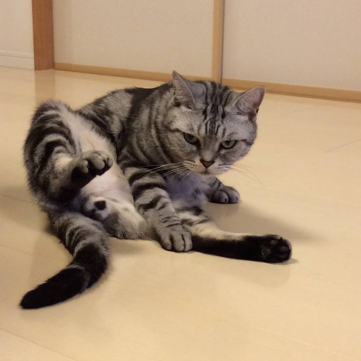 4abfebad df5d 46bb a60c 1541e5b4a8d9