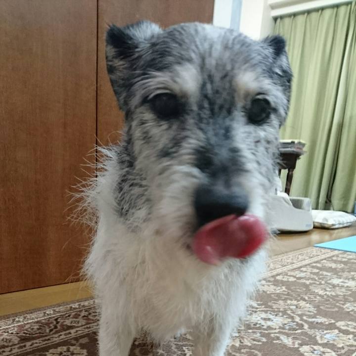 4ac0d857 374c 4414 8dcb 24c47a39eb4e