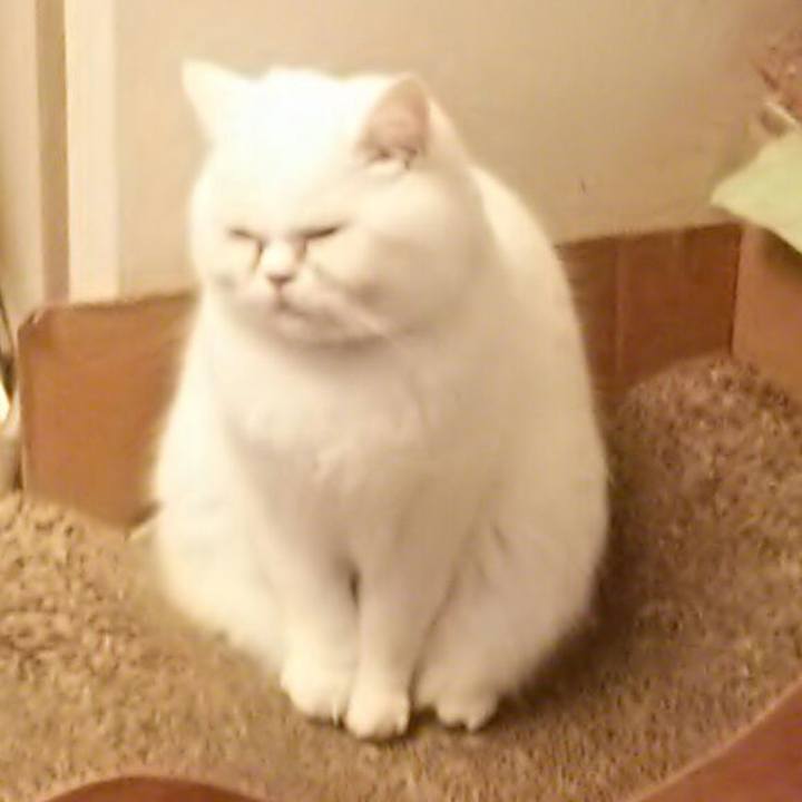 4ac0ff85 abb9 431e 9a1b 4f451b907745