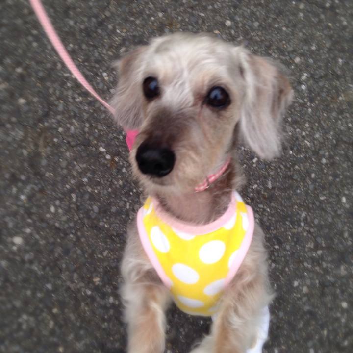 4ac110c9 7c15 44f1 be86 8749f3f5b5d7