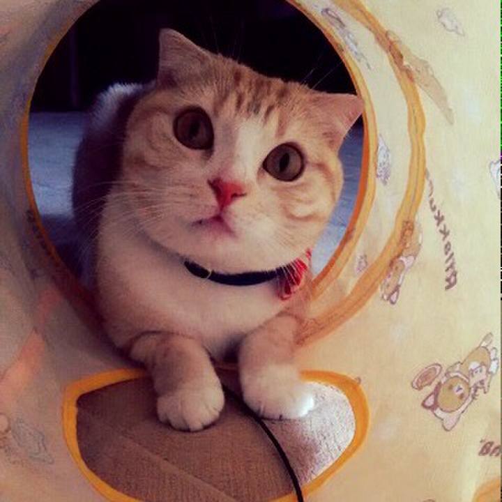 4ac11aa6 c23d 448d 93ab 040519f74f50