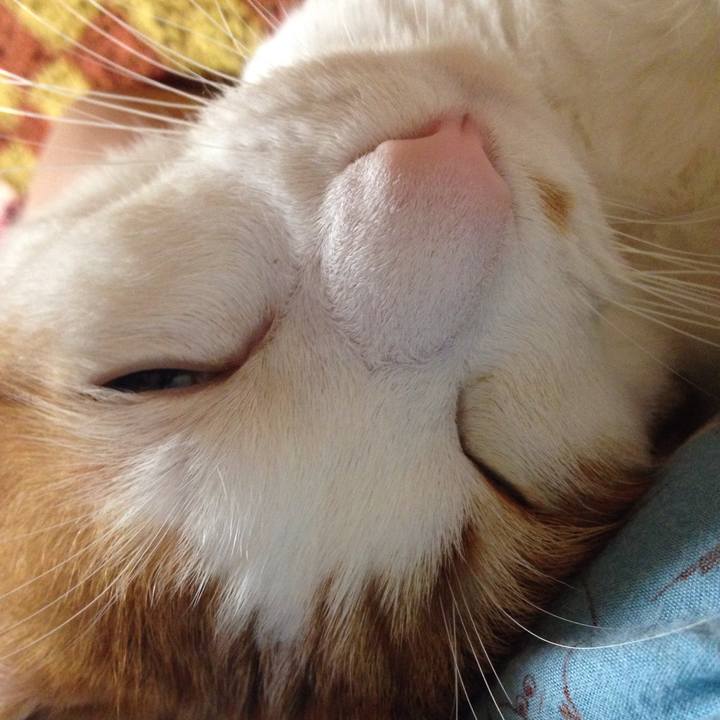 4ac14a51 d93b 4d49 bb5c 077cdae5cb67