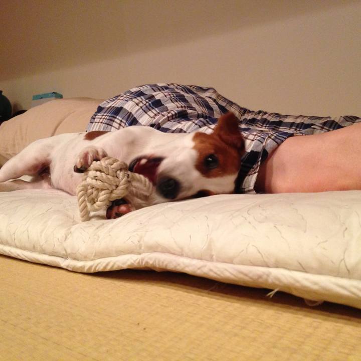 4ac163d9 7ae9 4cca 9611 b59c2dc1caf6