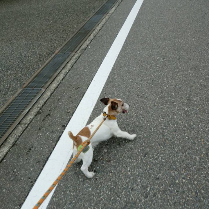 4ac1e8bf 51f7 46bc 9e07 15cd00995411