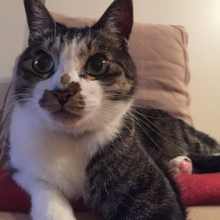 4ac1ef35 8b1c 4b1e 84d6 46c99a0c18af