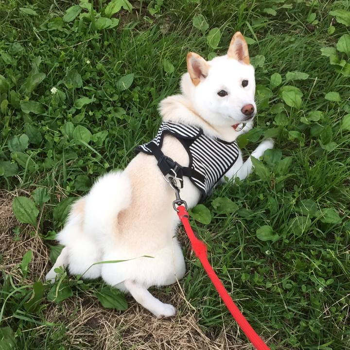 4ac2a7e1 3885 4cf6 aa1b d689736af509