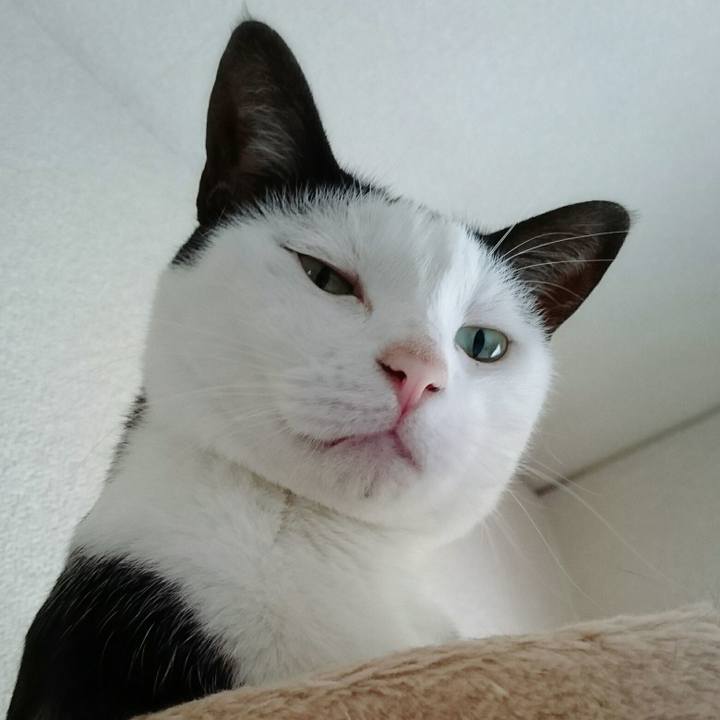 4ac2f7cc 5058 4eb2 a10c dc7e235650d1